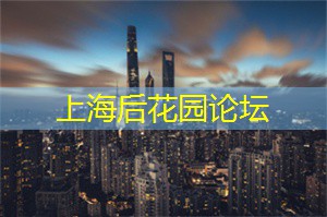 爱上海同城论坛：一场“不眠之夜”的东京风情分析