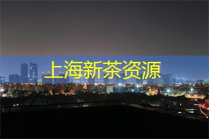 上海品茶网：上海的绿色艺术与可持续发展